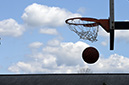 %_tempFileNamedog-days-basketball-2022_7802%