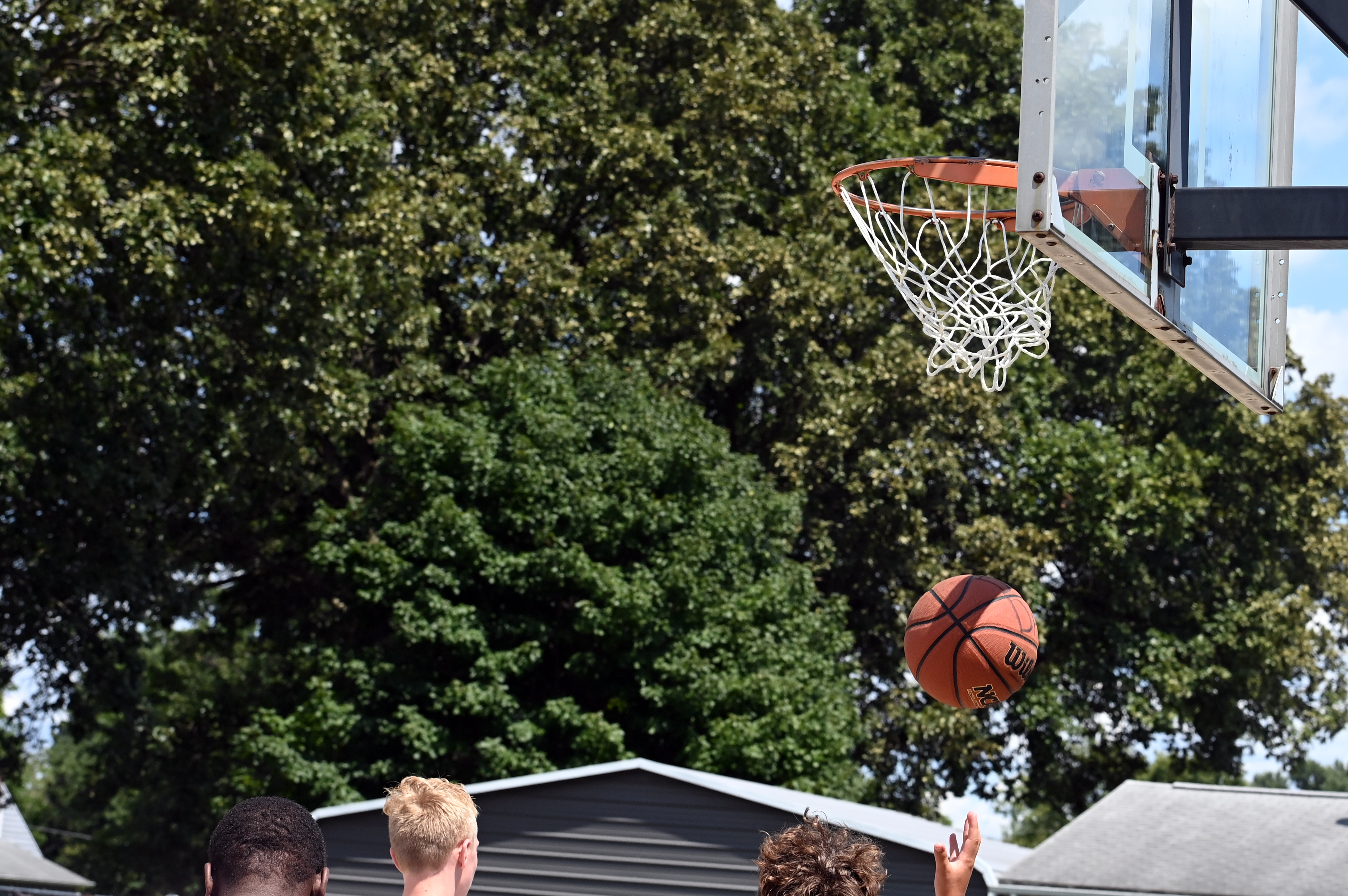 %_tempFileNamedog-days-basketball-2022_8260%